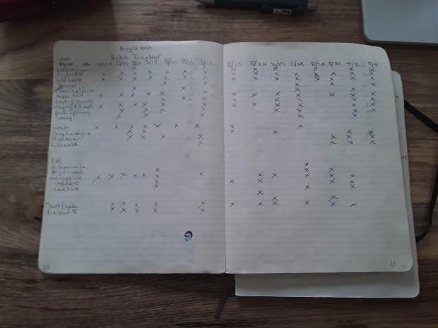 August 2018 Bullet Journal Habit Tracker